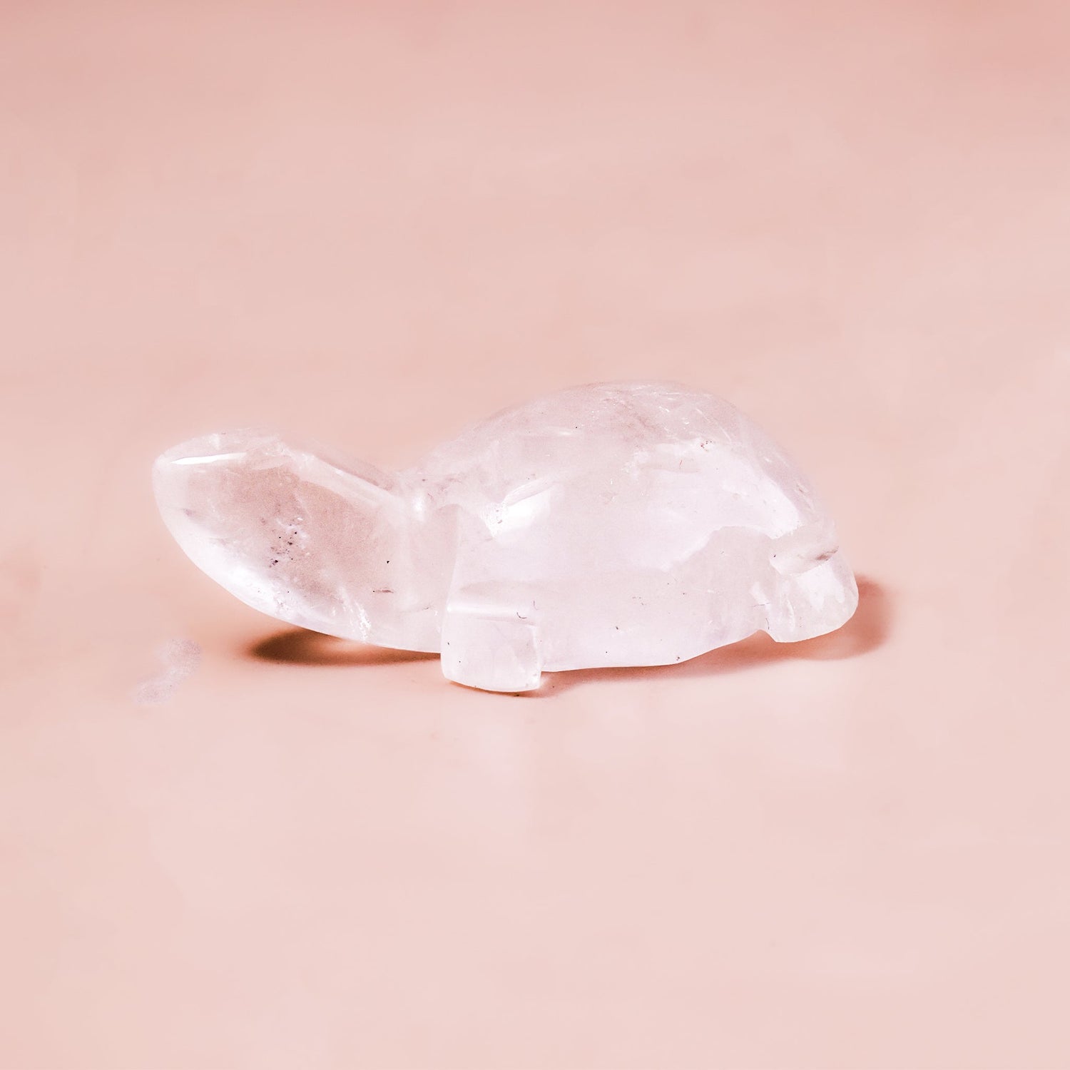 Rose Quartz Small Turtle - Abhimantrit