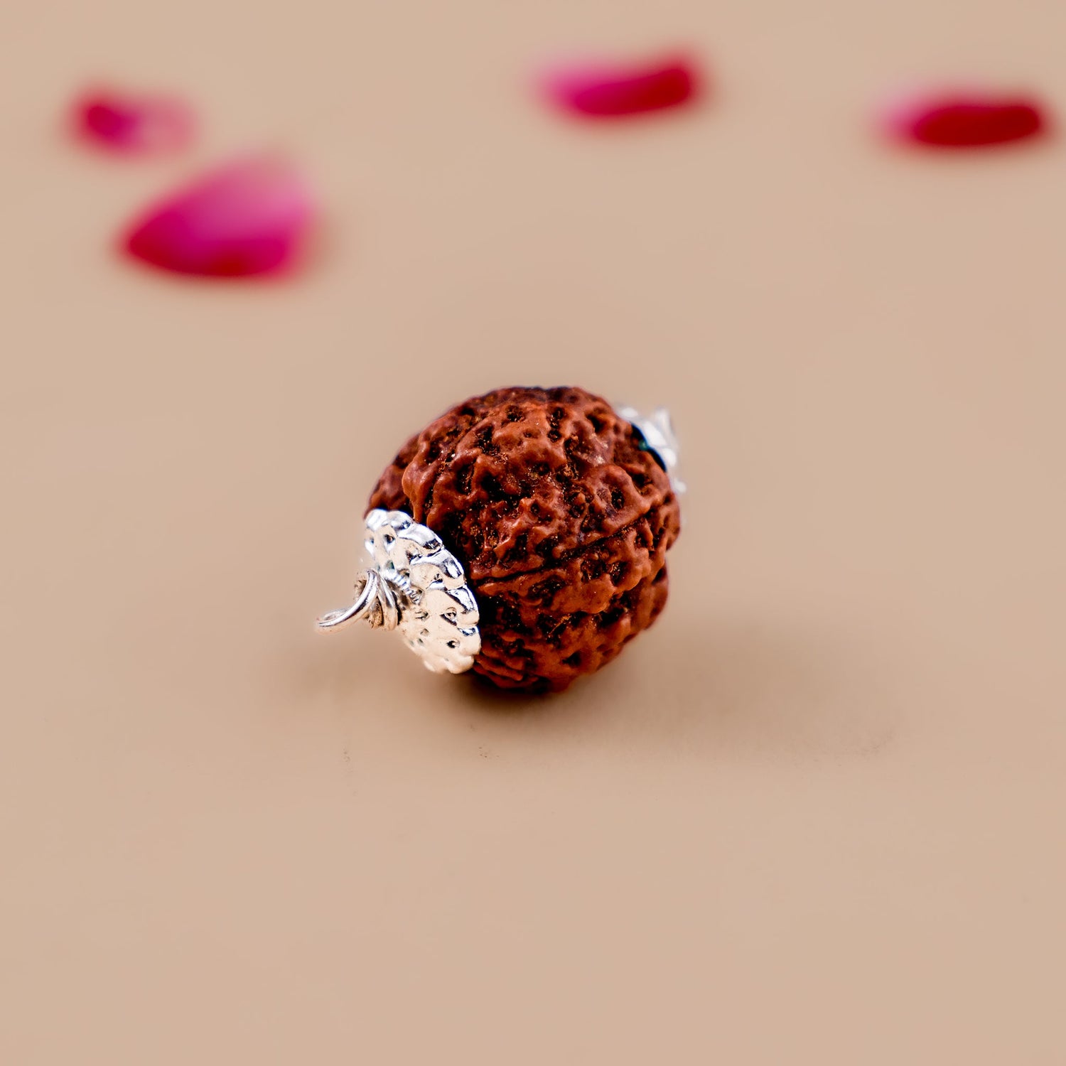 5 Mukhi Rudraksha (Five Faced)