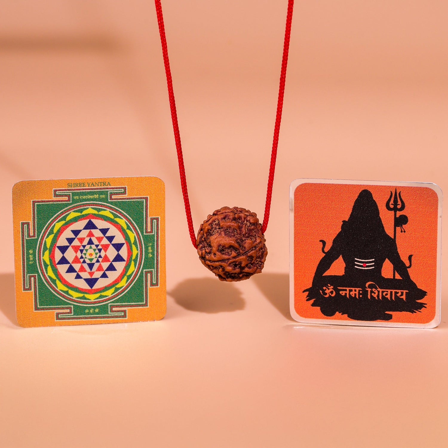 FREE-देवमणि 5 Mukhi Rudraksha