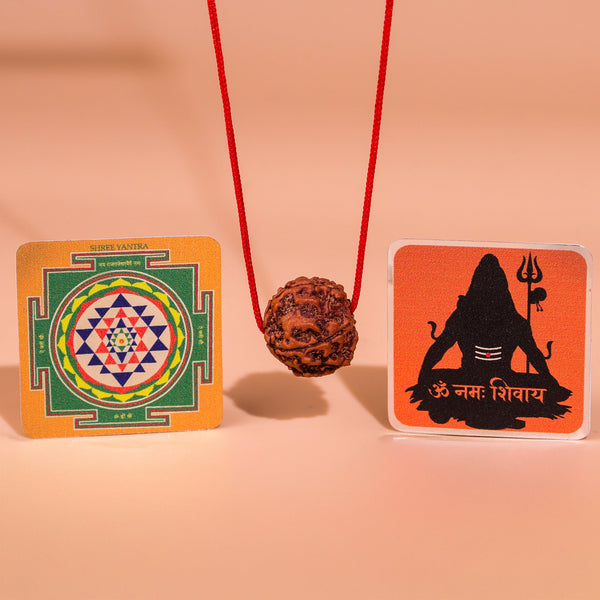 FREE-देवमणि 5 Mukhi Rudraksha