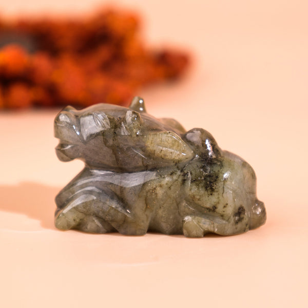 Labradorite Nandi