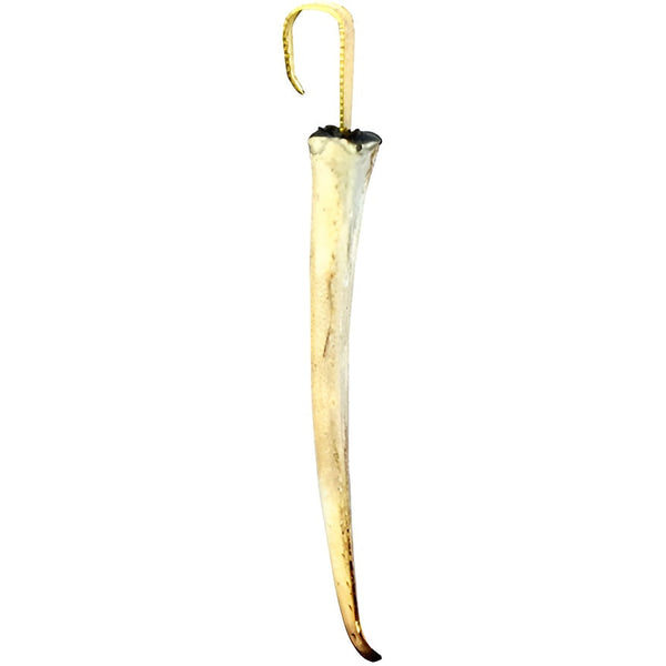 Mangal Kaanta