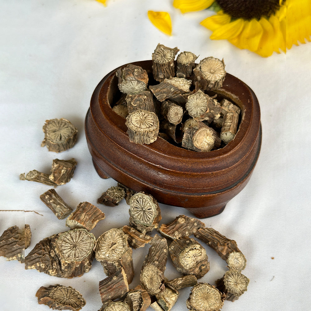 Giloy Root – Purification, Strength & Spiritual Balance Root