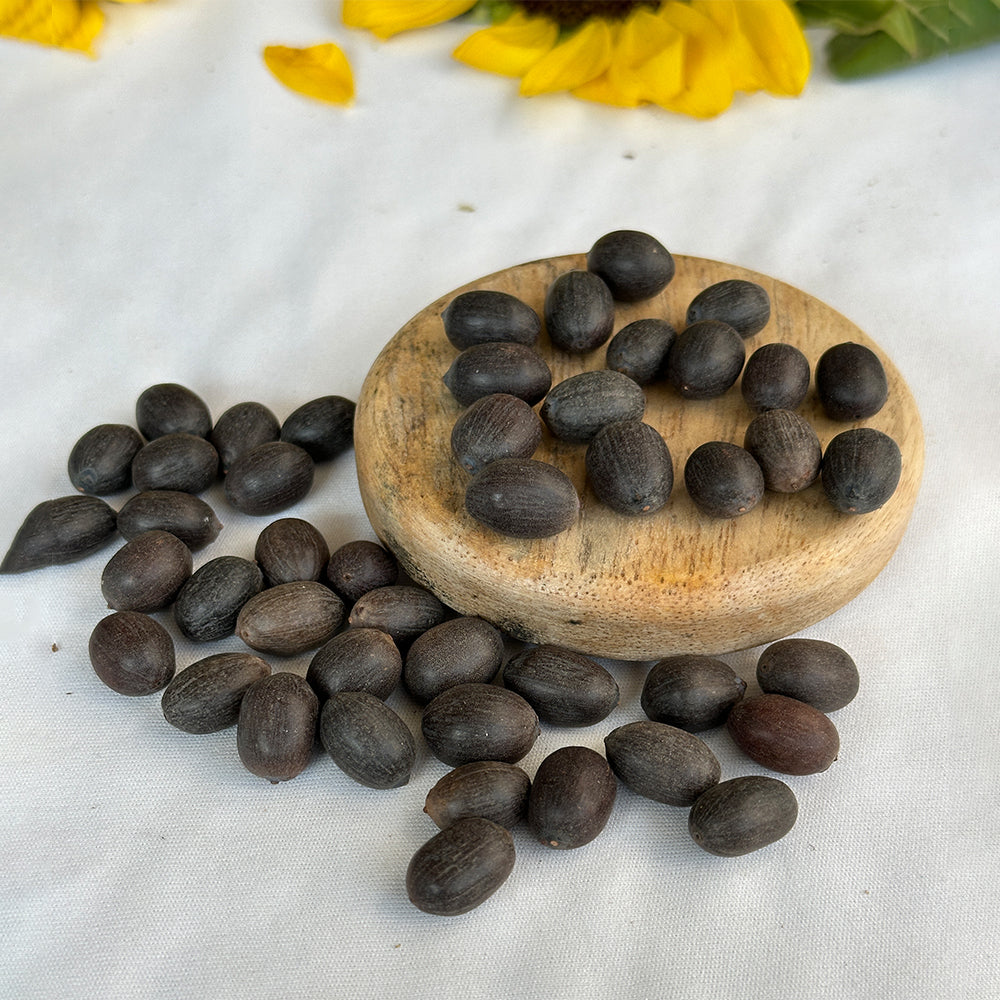 Kamal Gatta Seed – Wealth, Prosperity & Goddess Lakshmi Energy
