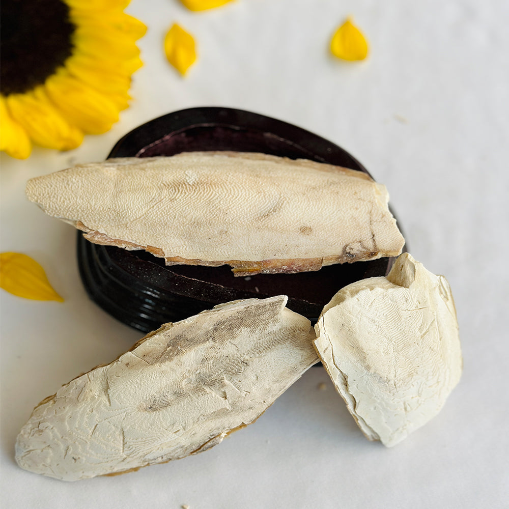 Samanader Jhag Root – Energy Cleansing & Spiritual Protection Root
